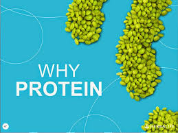 why protein
